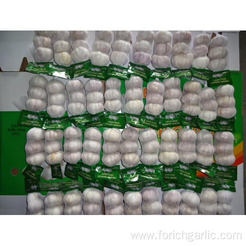 High Quality Fresh Normal White Garlic 5.0cm